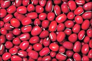 kacang merah11